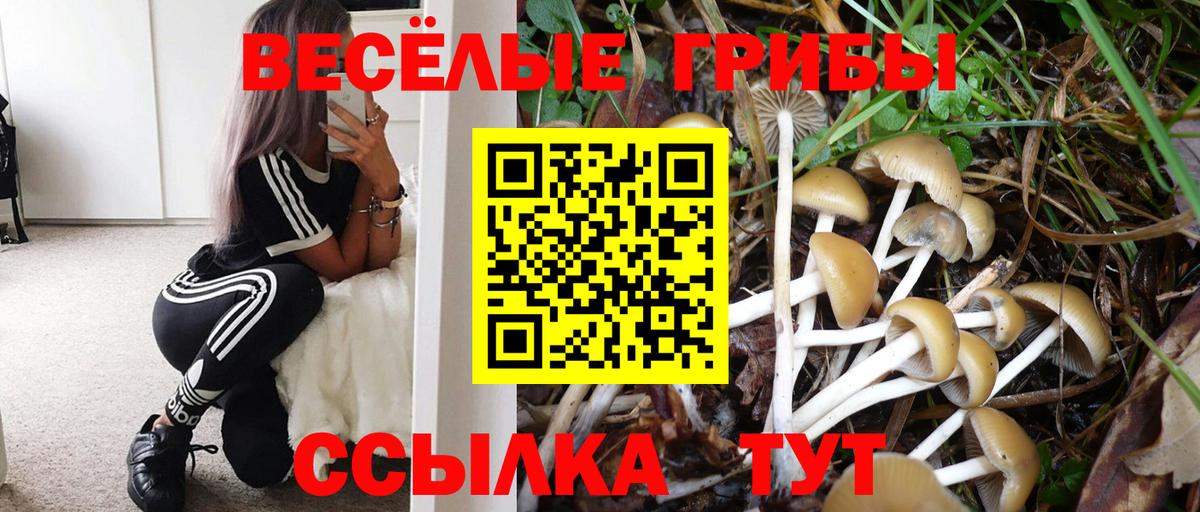 Санкт-Петербург  Галлюциногенные грибы мицелий  Вход с VPN 